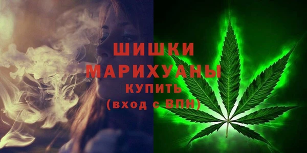 шишки Нягань