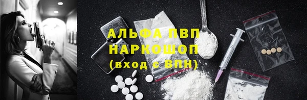 спиды Новокубанск