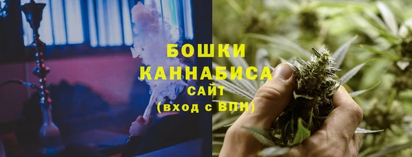 шишки Нягань