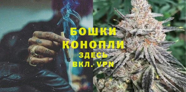 шишки Нягань