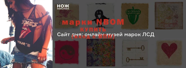 spice Няндома