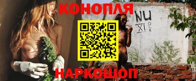 крисы Волжский