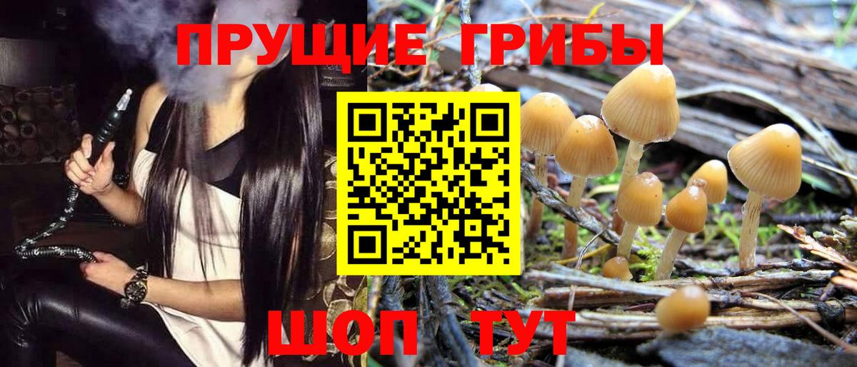 Псилоцибиновые грибы мухоморы Шумерля