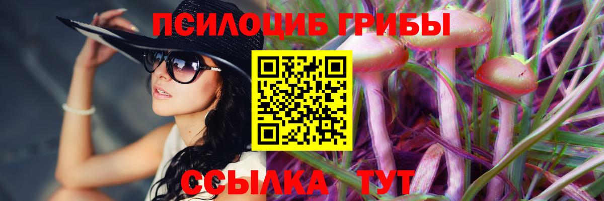 Шумерля  Псилоцибиновые грибы Magic Shrooms  закладка  Псилоцибиновые грибы мухоморы  Вход с VPN 