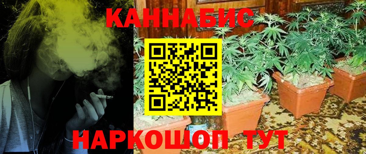 Марихуана OG Kush Шумерля